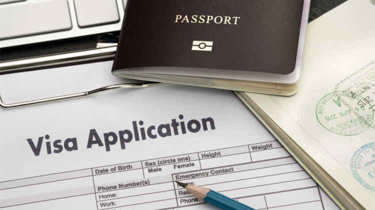 Diplomatic Visa (9E)