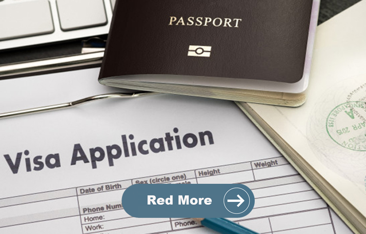 Visa Consultancy
