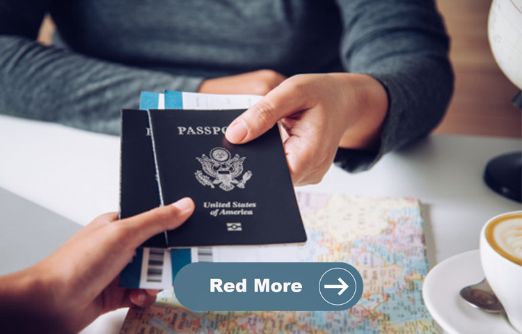 Visa Consultancy