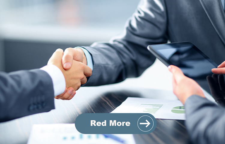 Visa Consultancy